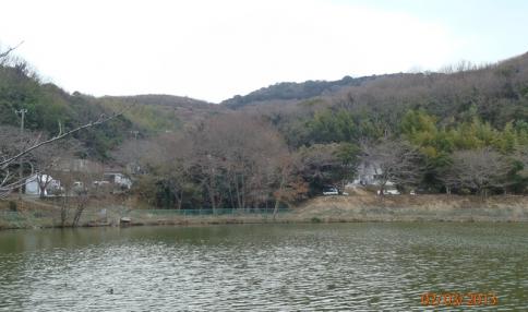 綾部山梅林 002-001