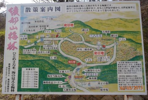 綾部山梅林 038-001