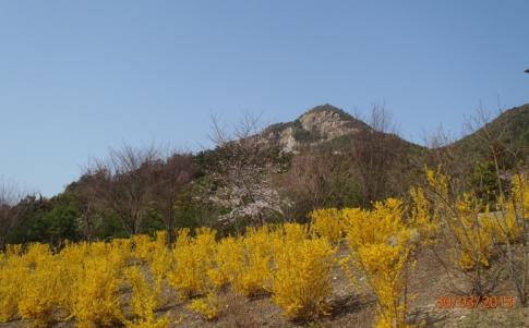陶ケ岳縦走 006-001