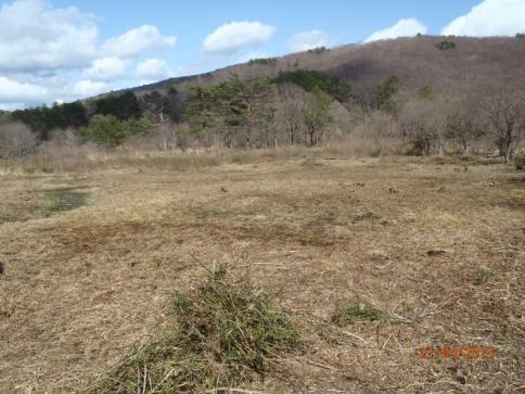 千町原野焼き&霧ケ谷湿原保全・環境整備活動 093