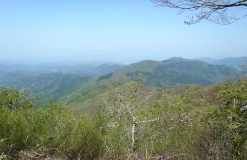 大万木山 058-001