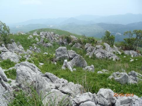 龍護峰~西の西山 023