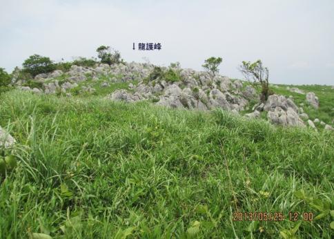 龍護峰~西の西山 M 018-001