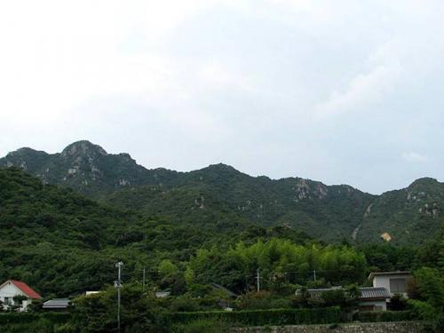 827026-1.jpg