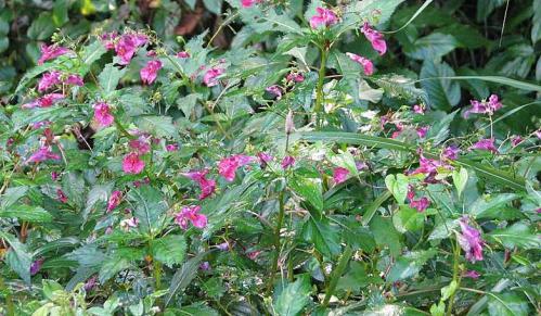 913007-1_20110916141724.jpg