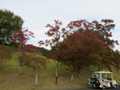 IMG_3137dfgg (640x480)