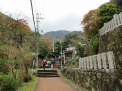 IMG_3154yuy (640x480)