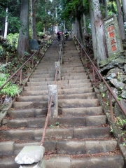 IMG_3171ghjgj (480x640)