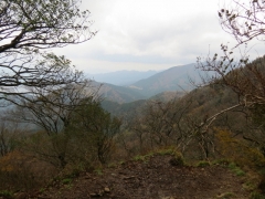 IMG_3189gfhgf (640x480)
