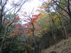 IMG_3226fgf (640x480)