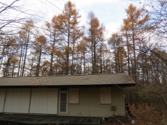 IMG_3250er (640x480)