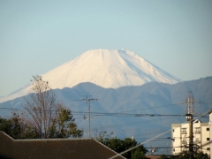 IMG_3262asd (640x480)