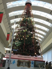 IMG_3324fghfg (480x640)