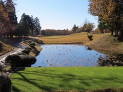 IMG_3343gjg (640x480)