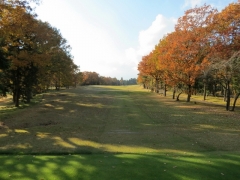 IMG_3352rttr (640x480)