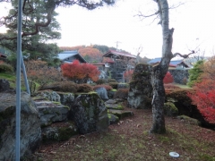 IMG_3367gfhg (640x480)
