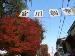 IMG_3400dfg (640x480)