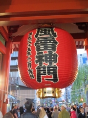 IMG_3513daad (480x640)