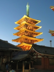 IMG_3520iyo (480x640)