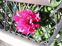 IMG_3557asd (640x480)