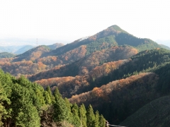 IMG_3647ouiuio (640x480)