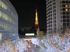 IMG_3848ggf (640x480)
