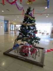 IMG_3935sdd (480x640)