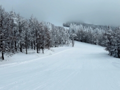 IMG_3971dfdfg (640x480)