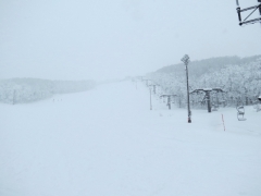 IMG_3973sff (640x480)