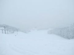IMG_3984kjkj (640x480)