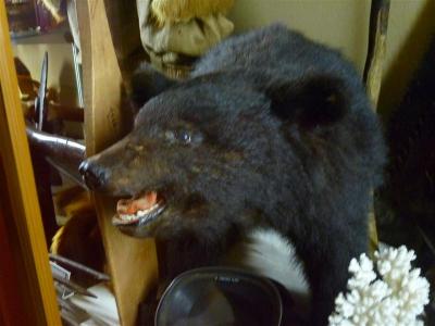 P1010929_R.jpg