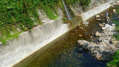 P1010948_R.jpg