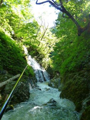 P1020232_R2.jpg