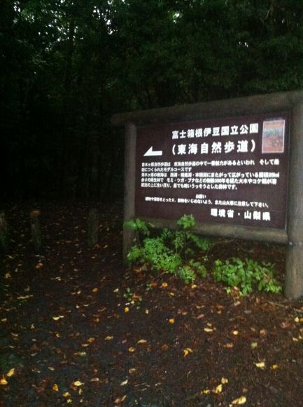 110821_006.jpg