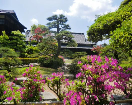 披雲閣ツツジ庭園