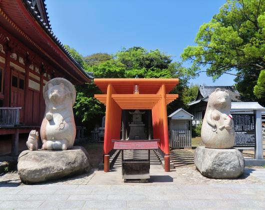 たぬき