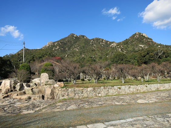 右田庭園12月中旬