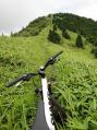 倉木山稜線