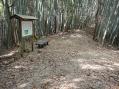 苦の坂の峠