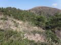 S山山頂