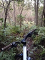 I山3