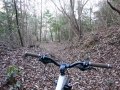 S山