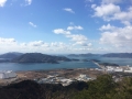 T臼展望