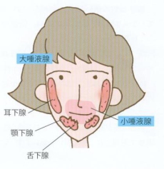 20110709c.jpg