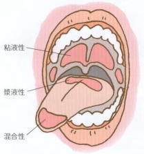 20110709d.jpg