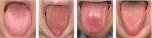 20120111b.jpg