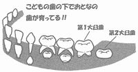 555.jpg