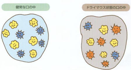 image-11a.jpg