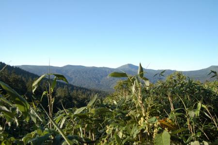 2登山道4