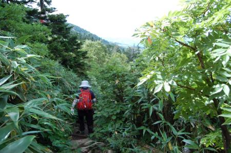2毛無岱への山道33